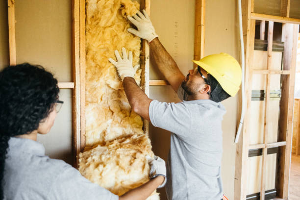 Best Insulation Air Sealing  in Boutte, LA